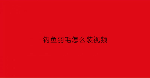 钓鱼羽毛怎么装视频(羽毛钩钓鱼)