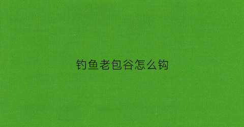 钓鱼老包谷怎么钩(钓鱼老包谷怎么钩好)