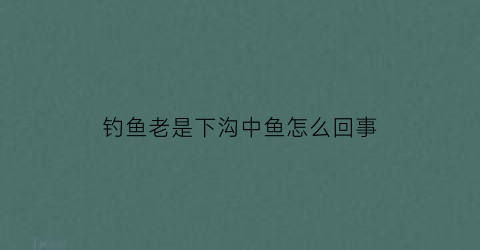 钓鱼老是下沟中鱼怎么回事(钓鱼总是下钩中鱼什么原因)