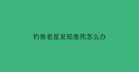 钓鱼老是发现鱼死怎么办(鱼钓上来就死了)
