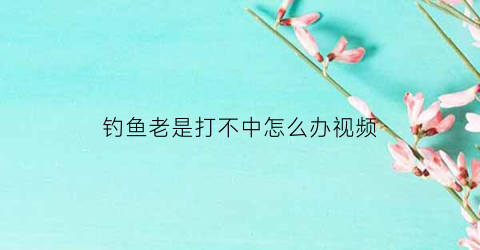 钓鱼老是打不中怎么办视频(钓鱼钓不上来叫什么)
