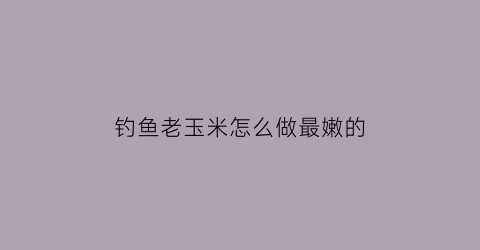 钓鱼老玉米怎么做最嫩的(钓鱼老玉米的制作方法)