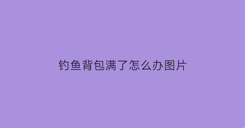 钓鱼背包满了怎么办图片