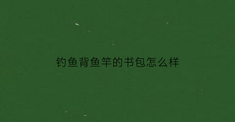 钓鱼背鱼竿的书包怎么样(钓鱼背鱼竿图片)