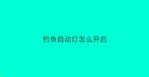 钓鱼自动灯怎么开启(请问自动钓钓鱼效果如何)