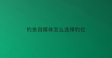 钓鱼自媒体怎么选择钓位