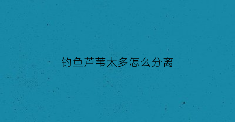 钓鱼芦苇太多怎么分离(钓芦苇边)