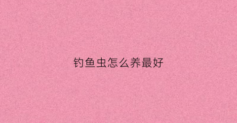 钓鱼虫怎么养最好