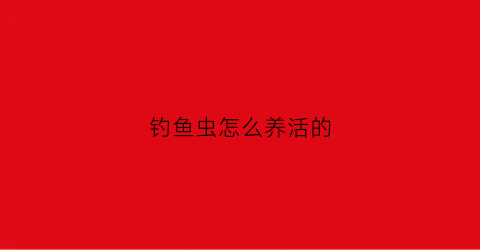 钓鱼虫怎么养活的(钓鱼虫怎么养活的视频)