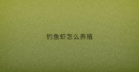 钓鱼虾怎么养殖(钓虾技巧攻略)