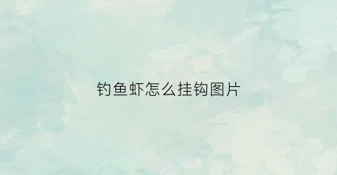 钓鱼虾怎么挂钩图片(钓鱼河虾挂法)