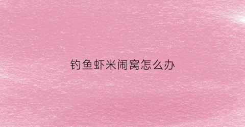 钓鱼虾米闹窝怎么办(钓鱼时虾米闹窝怎么办)