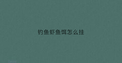 钓鱼虾鱼饵怎么挂(钓鱼虾饵怎么挂钩)