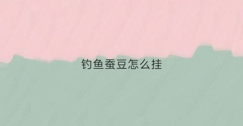 钓鱼蚕豆怎么挂(蚕豆钓鱼制作方法)