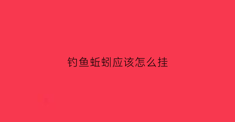 钓鱼蚯蚓应该怎么挂(钓鱼蚯蚓怎么挂法)