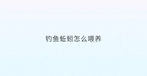 钓鱼蚯蚓怎么喂养