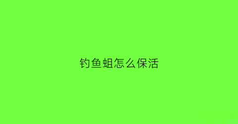钓鱼蛆怎么保活(最简单的钓鱼蛆虫怎么养)