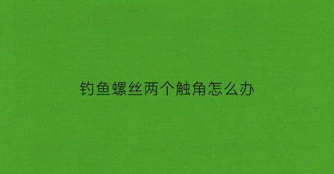 钓鱼螺丝两个触角怎么办(螺丝钓鱼砸碎吗)