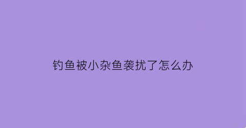 “钓鱼被小杂鱼袭扰了怎么办(钓鱼被驱赶)