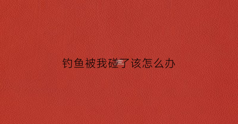 钓鱼被我碰了该怎么办(被钓鱼了是什么感觉)
