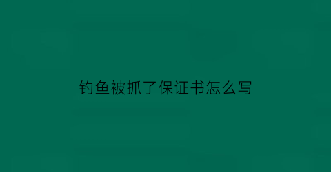 钓鱼被抓了保证书怎么写(钓鱼被抓)