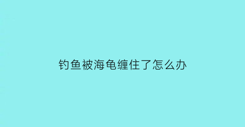 钓鱼被海龟缠住了怎么办(钓鱼被海龟缠住了怎么办视频)