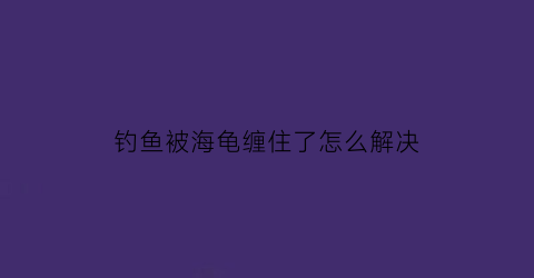 “钓鱼被海龟缠住了怎么解决(钓海龟犯法吗)