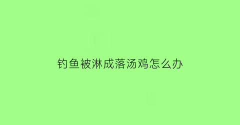 钓鱼被淋成落汤鸡怎么办