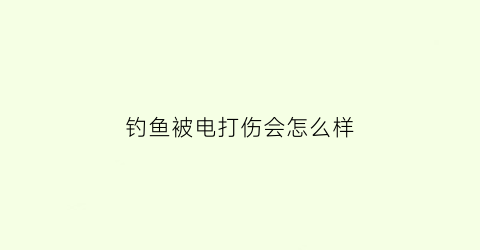 钓鱼被电打伤会怎么样(钓鱼被电打伤会怎么样图片)