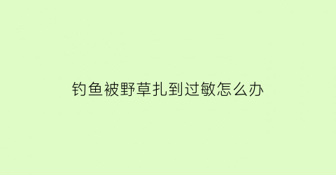 钓鱼被野草扎到过敏怎么办(钓鱼被野草扎到过敏怎么办啊)