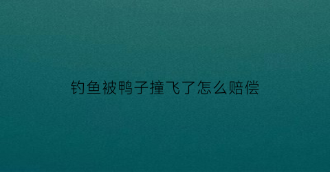钓鱼被鸭子撞飞了怎么赔偿(钓鱼钓到鸭子怎么回事)