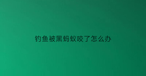 “钓鱼被黑蚂蚁咬了怎么办(钓鱼被红蚂蚁咬)