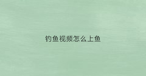 钓鱼视频怎么上鱼(钓鱼视频怎么弄能赚收益)