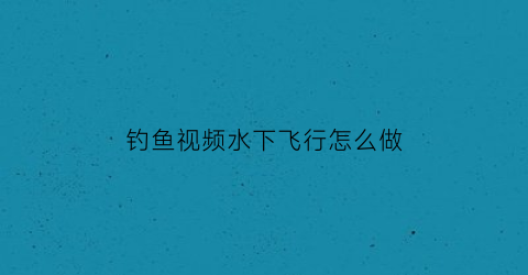钓鱼视频水下飞行怎么做(钓鱼水下视频大全高清2017)