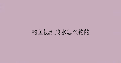 “钓鱼视频浅水怎么钓的(浅水钓鱼怎样调漂视频)