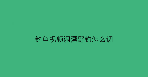 钓鱼视频调漂野钓怎么调