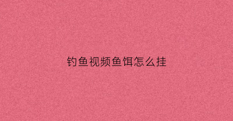 钓鱼视频鱼饵怎么挂(鱼饵怎么挂钩视频)