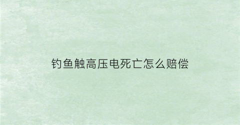 钓鱼触高压电死亡怎么赔偿(钓鱼被高压电电死了谁负责)