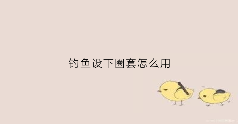 钓鱼设下圈套怎么用(钓鱼套装怎么安装方法)