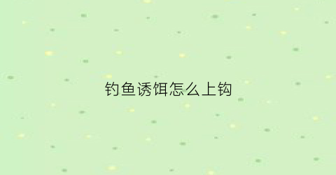 钓鱼诱饵怎么上钩(诱饵怎么挂到钩上)
