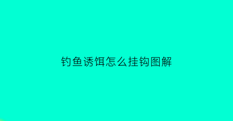 钓鱼诱饵怎么挂钩图解(钓鱼诱饵怎么挂钩图解视频)