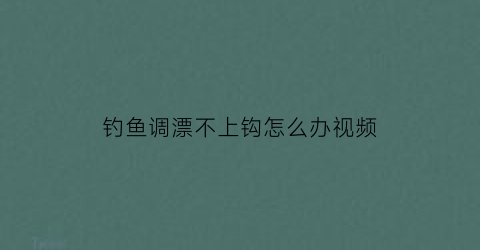 钓鱼调漂不上钩怎么办视频(野钓不调漂)