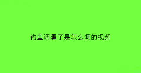 钓鱼调漂子是怎么调的视频(钓鱼调漂教学)