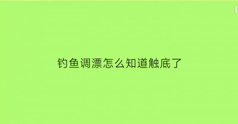 钓鱼调漂怎么知道触底了(在渔具店调好漂实际钓鱼时怎么知道钩到底了)