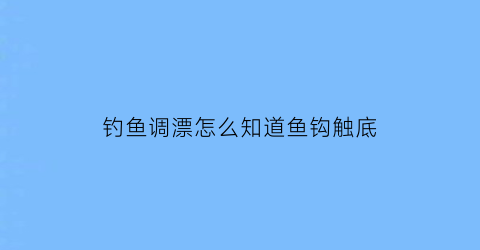 “钓鱼调漂怎么知道鱼钩触底(钓鱼调漂怎么知道鱼钩触底了)