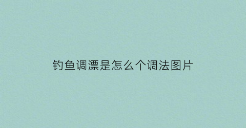 钓鱼调漂是怎么个调法图片(钓鱼调漂的正确方法图片)