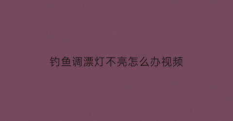 钓鱼调漂灯不亮怎么办视频(夜钓灯看漂不清晰)