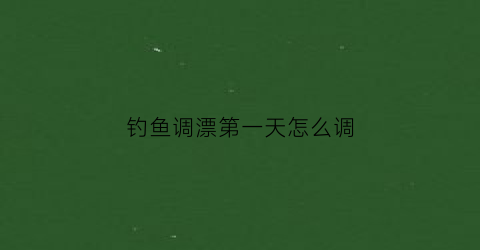 钓鱼调漂第一天怎么调(钓鱼调漂调好后第二次是否不用在调)