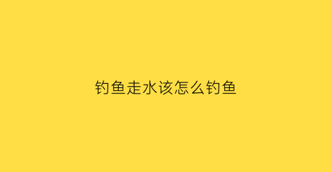 “钓鱼走水该怎么钓鱼(钓鱼走水该怎么钓鱼视频)