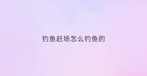 钓鱼赶场怎么钓鱼的(钓鱼赶场怎么钓鱼的呢)